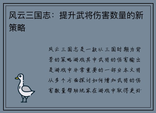 风云三国志：提升武将伤害数量的新策略